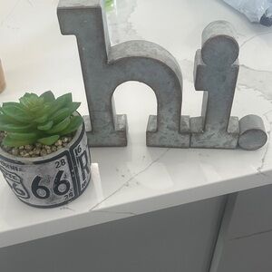 Hobby Lobby Gray Metal 'hi' Decor & succulent